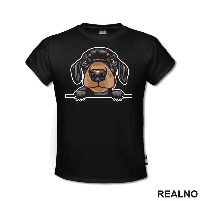 Peaking Puppy Dachshund - Pas - Psi