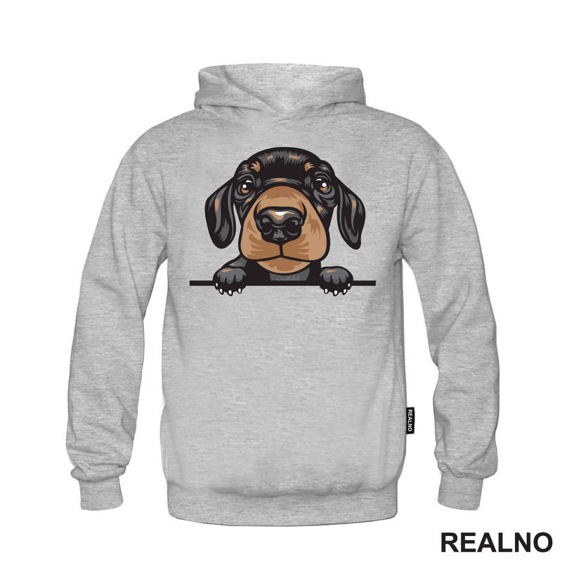 Peaking Puppy Dachshund - Pas - Psi