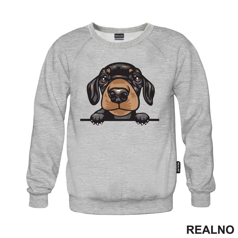 Peaking Puppy Dachshund - Pas - Psi