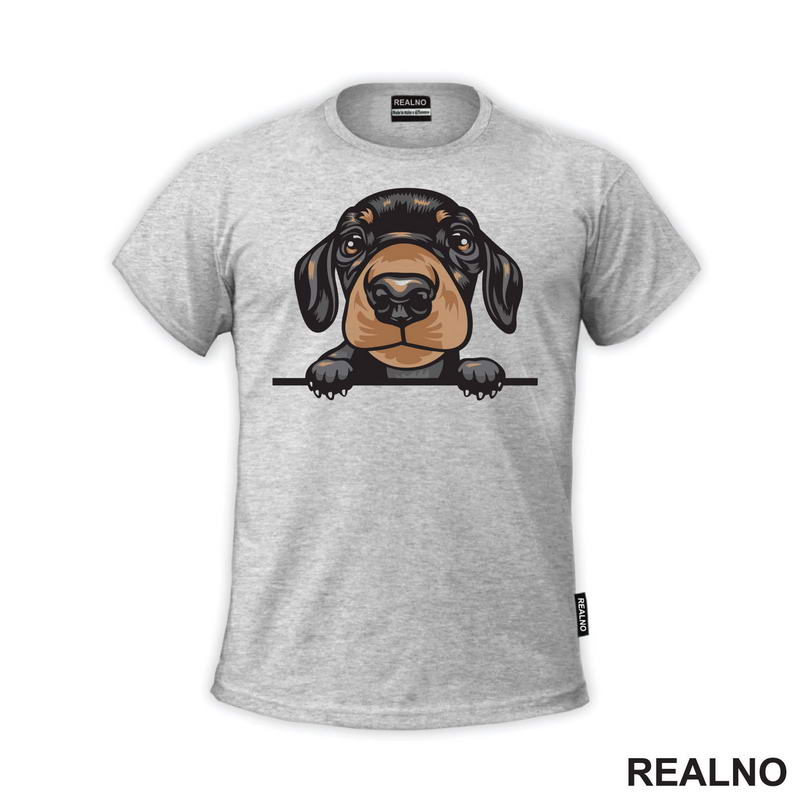 Peaking Puppy Dachshund - Pas - Psi