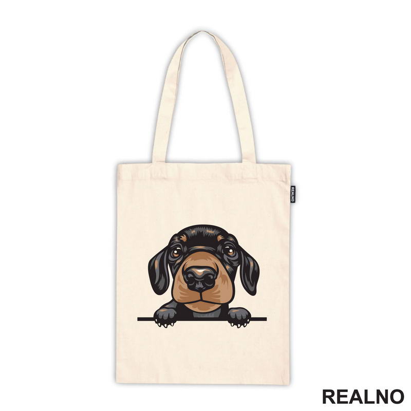 Peaking Puppy Dachshund - Pas - Psi