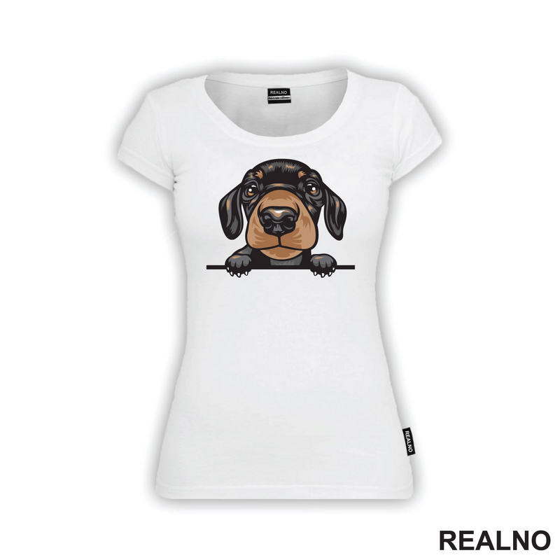 Peaking Puppy Dachshund - Pas - Psi