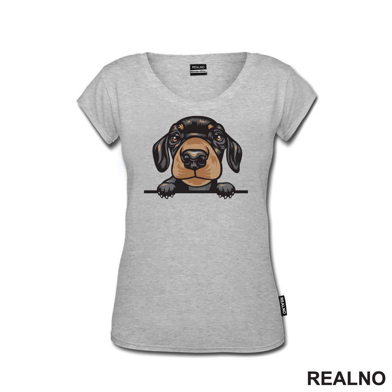 Peaking Puppy Dachshund - Pas - Psi