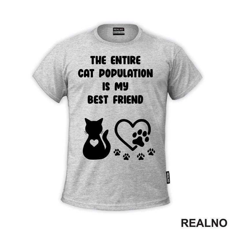The Entire Cat Population Is My Best Friend - Heart And Paws - Mačke - Cat