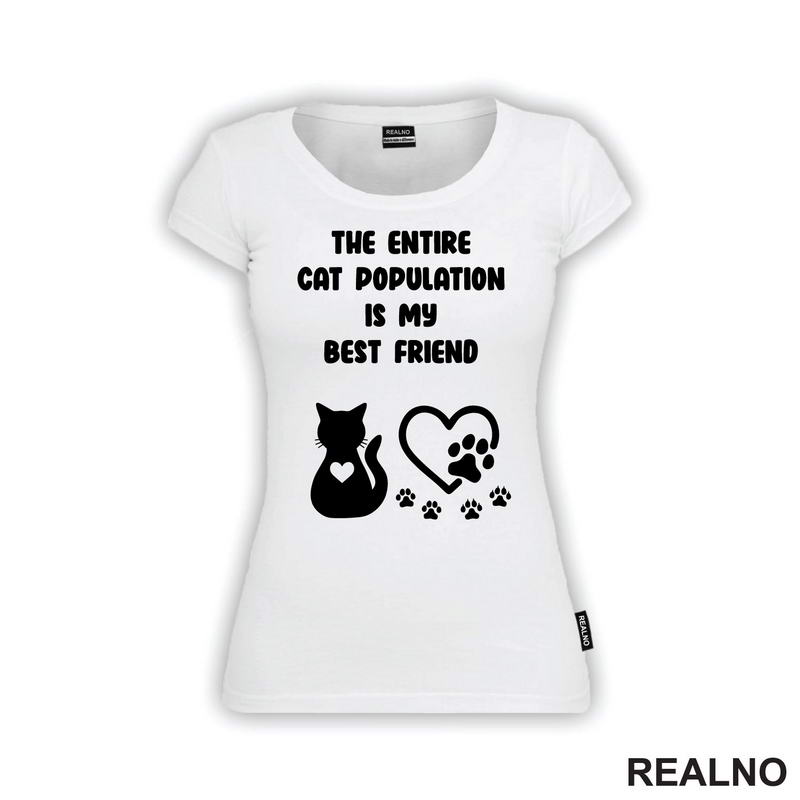 The Entire Cat Population Is My Best Friend - Heart And Paws - Mačke - Cat
