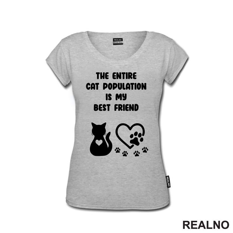 The Entire Cat Population Is My Best Friend - Heart And Paws - Mačke - Cat