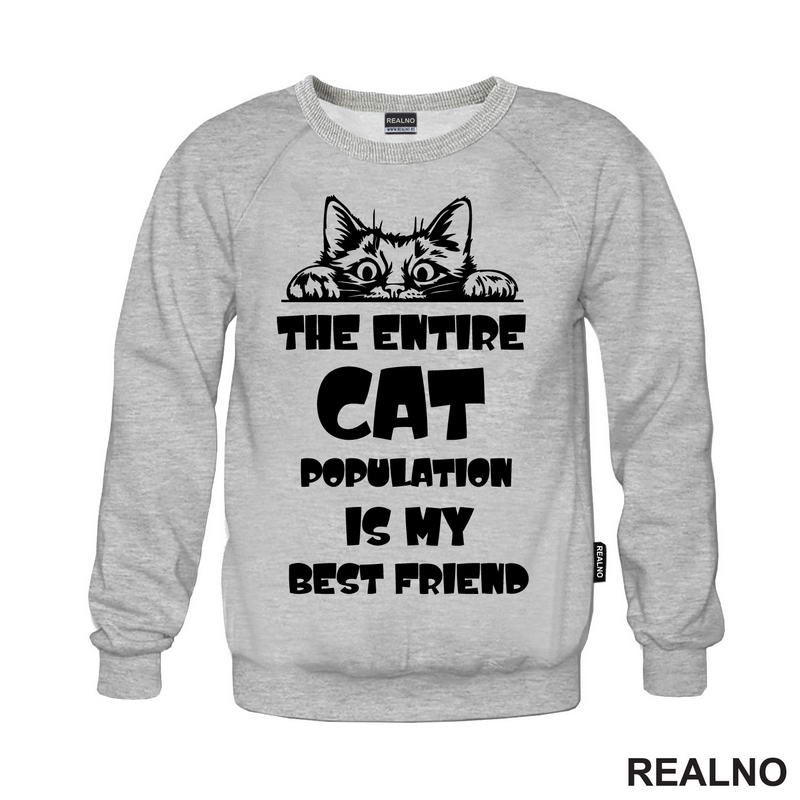 The Entire Cat Population Is My Best Friend - Peaking -  Mačke - Cat