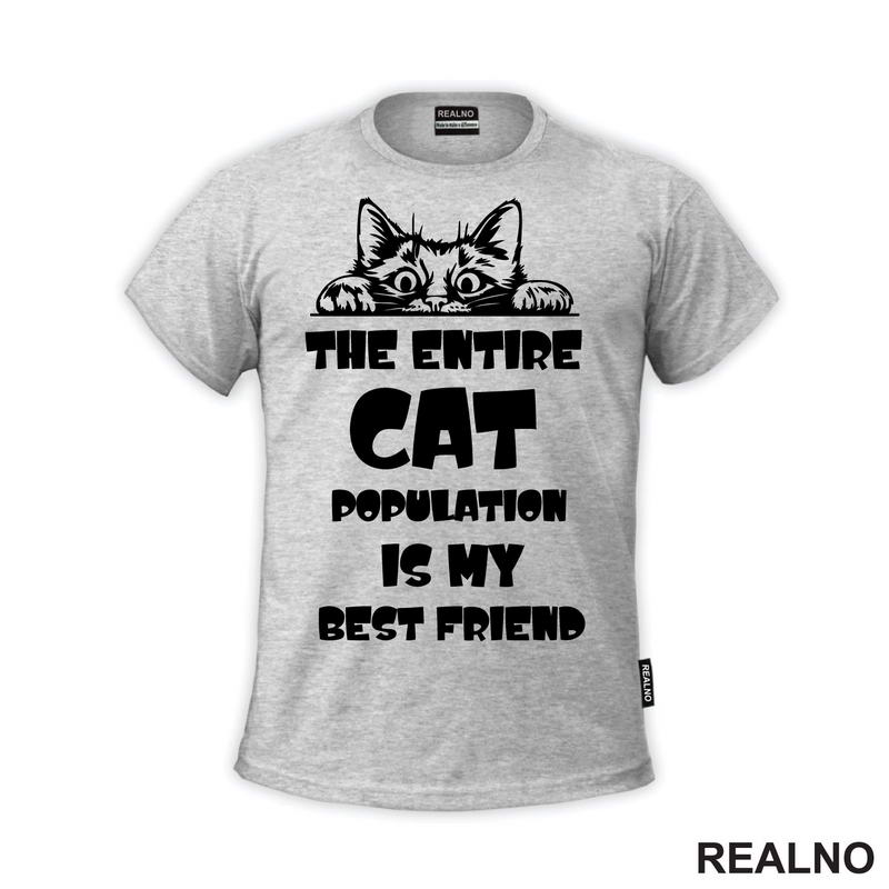 The Entire Cat Population Is My Best Friend - Peaking -  Mačke - Cat