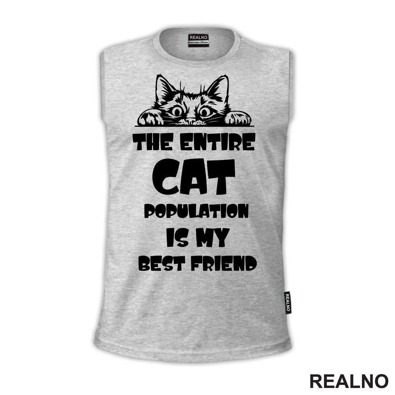 The Entire Cat Population Is My Best Friend - Peaking -  Mačke - Cat