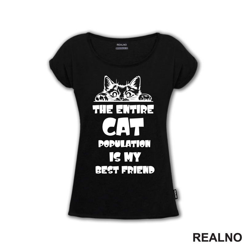 The Entire Cat Population Is My Best Friend - Peaking -  Mačke - Cat