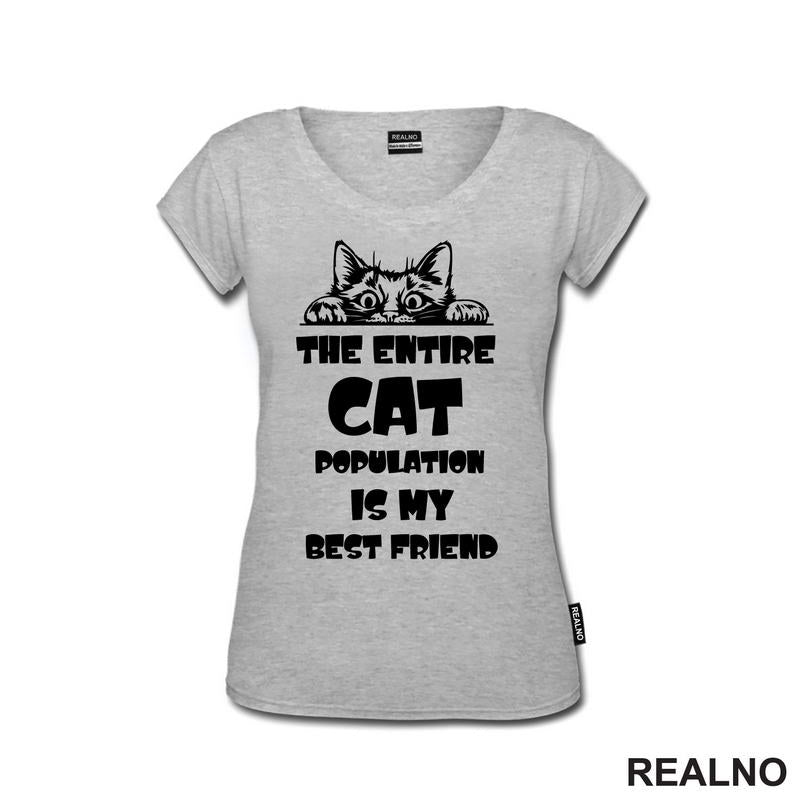The Entire Cat Population Is My Best Friend - Peaking -  Mačke - Cat