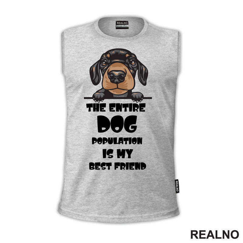 The Entire Dog Population Is My Best Friend - Puppy Dachshund Dog - Pas - Psi