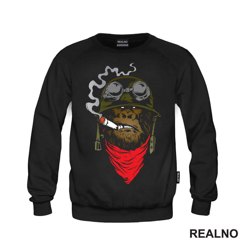 Cool Monkey - Majmun - Životinje