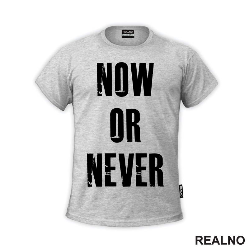 Now Or Never - Motivation - Quotes
