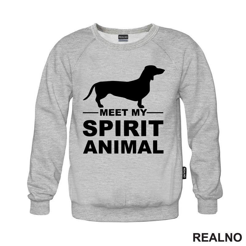 Meet My Spirit Animal - Jazavičar - Pas - Dog