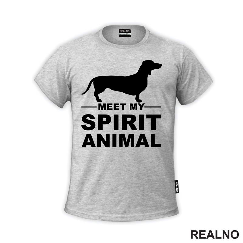 Meet My Spirit Animal - Jazavičar - Pas - Dog