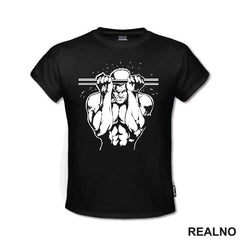 Pull Ups - Zgibovi - Trening