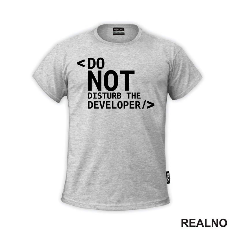 Do Not Disturb The Developer - Geek