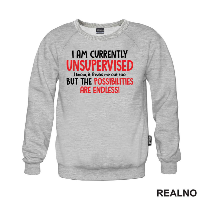 I Am Currently Unsupervised. I Know. It Freaks Me Out Too. But The Possiblities Are Endless! - Humor