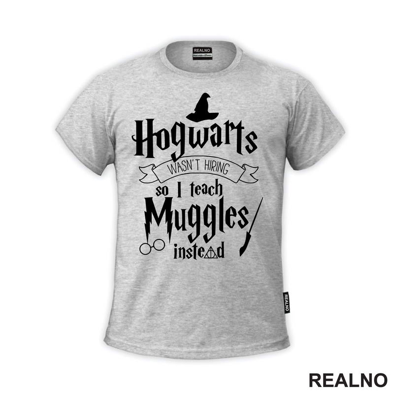 Hogwarts Wasn't Hiring So I Teach Muggles Instead - Harry Potter