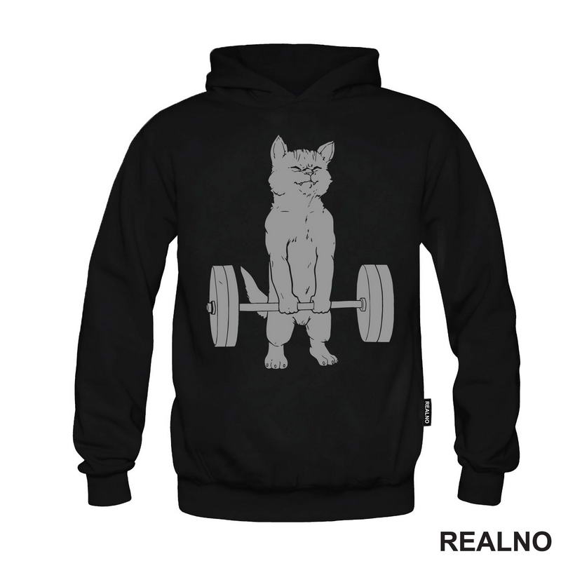 Cat Weightifting - Trening