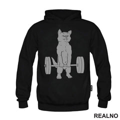 Cat Weightifting - Trening