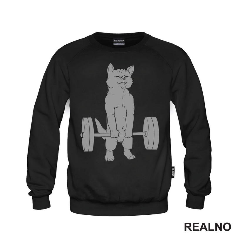 Cat Weightifting - Trening