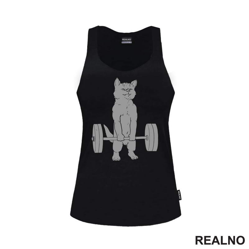 Cat Weightifting - Trening