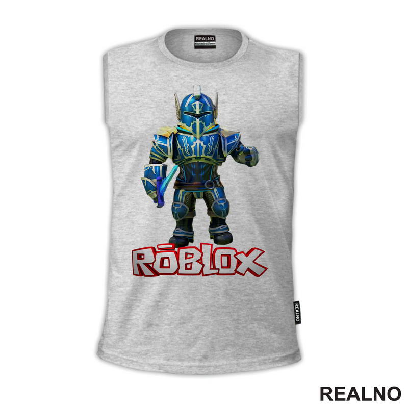 Blue Paladin - Roblox