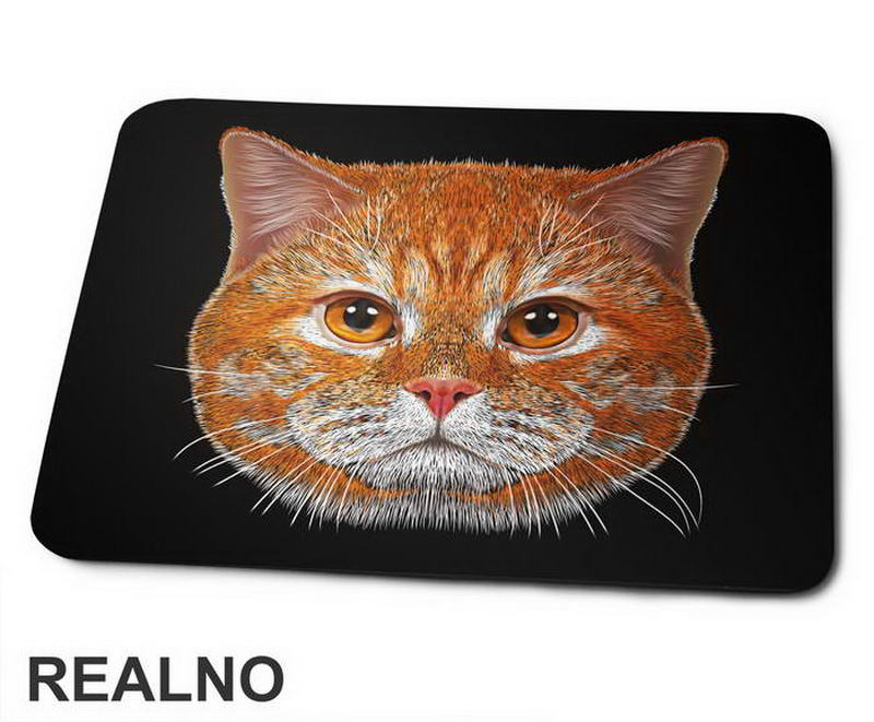 Ginger Cat Face - Životinje - Podloga za miš