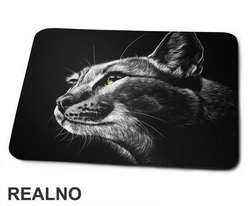 Cat Portrait - Mačke - Podloga za miš