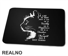 A Cat Is Not Just A Cat. He Is Sanity, He Is Happiness, He Is A Teacher, A Therapist And A Best Friend - Mačke - Cat - Podloga za miš