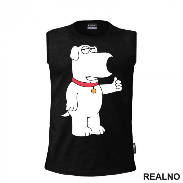 Everything Is Okay - Brian Griffin - Family Guy - Majica