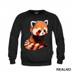 Crveni Panda Drži Šapice - Životinje - Duks