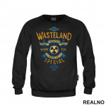 Wasteland - Vault - Fallout - Games - Serija - Duks