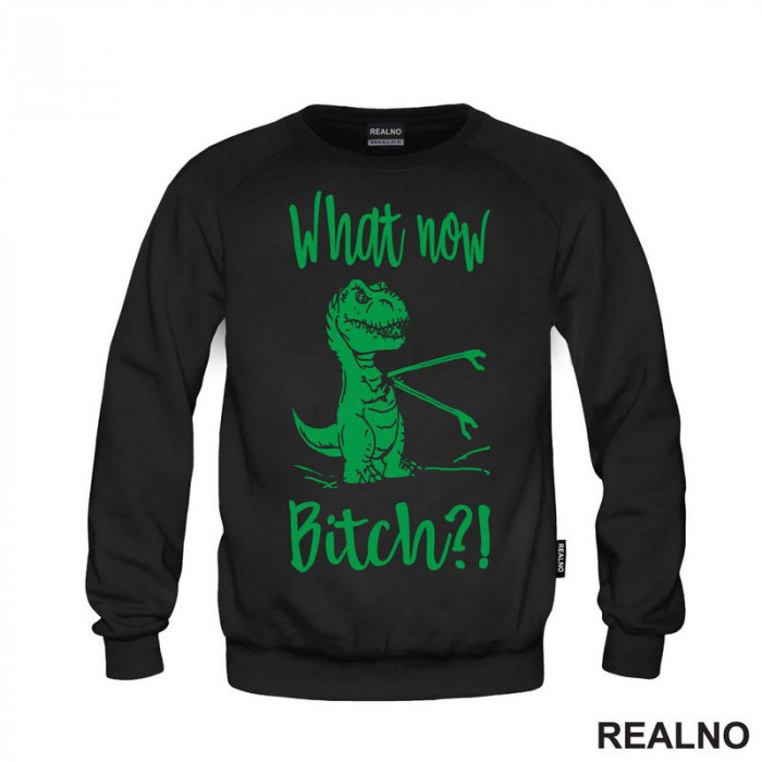 What Now Bitch - T-Rex - Arms - Humor - Duks