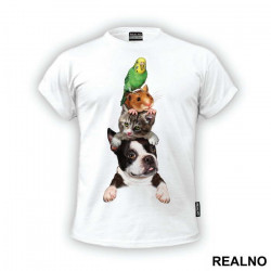 Dog, Cat, Mouse And a Parret - Životinje - Majica