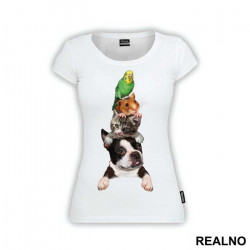 Dog, Cat, Mouse And a Parret - Životinje - Majica