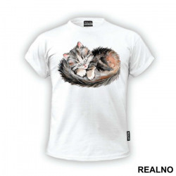 Sleepy Kitten - Životinje - Majica