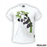 Baby Panda On A Branch - Životinje - Majica