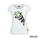 Baby Panda On A Branch - Životinje - Majica