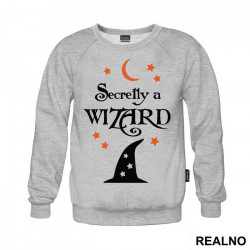 Secretly A Wizard - Humor - Duks Secretly A Wizard - Humor - Duks