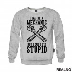 I May Be A Mechanic, But I Can't Fix Stupid - Radionica - Majstor - Duks