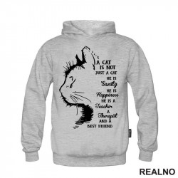 A Cat Is Not Just A Cat. He Is Sanity, He Is Happiness, He Is A Teacher, A Therapist And A Best Friend - Mačke - Cat - Duks