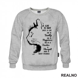 A Cat Is Not Just A Cat. He Is Sanity, He Is Happiness, He Is A Teacher, A Therapist And A Best Friend - Mačke - Cat - Duks