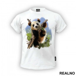Panda On A Branch - Životinje - Majica