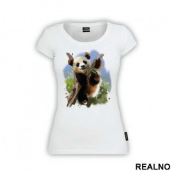 Panda On A Branch - Životinje - Majica