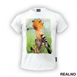 Eurasian Hoopoe Eating A Bug - Životinje - Majica