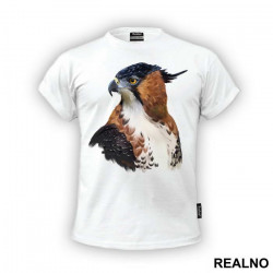 Hawk Portrait - Životinje - Majica