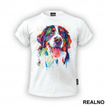 Bernese Mountain Dog Colorful Art - Životinje - Majica
